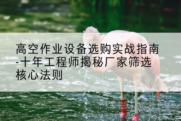 正镶白旗剪叉式升降机厂家-高空作业设备选购实战指南-十年工程师揭秘厂家筛选核心法则