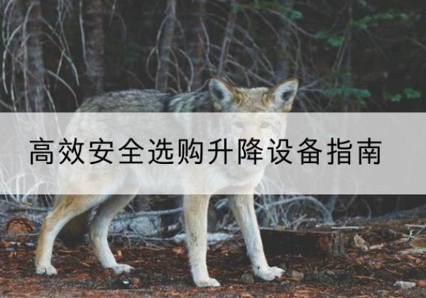 正镶白旗升降货梯厂家推荐-*安全选购升降设备指南