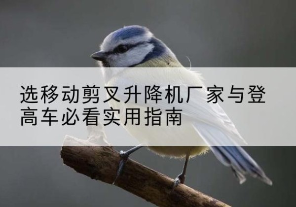 正镶白旗电动升降机厂家-选移动剪叉升降机厂家与登高车必看实用指南