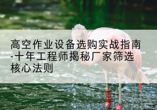 正镶白旗剪叉式升降机厂家-高空作业设备选购实战指南-十年工程师揭秘厂家筛选核心法则